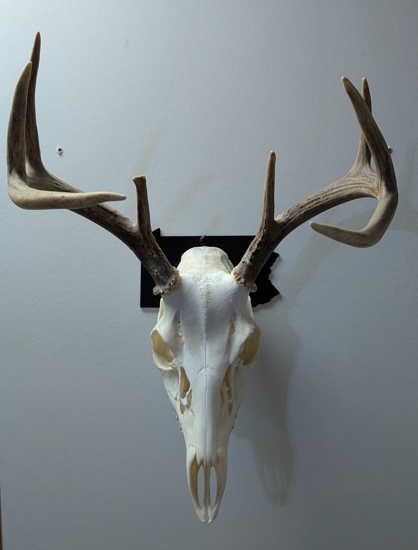 Pennsylvania
