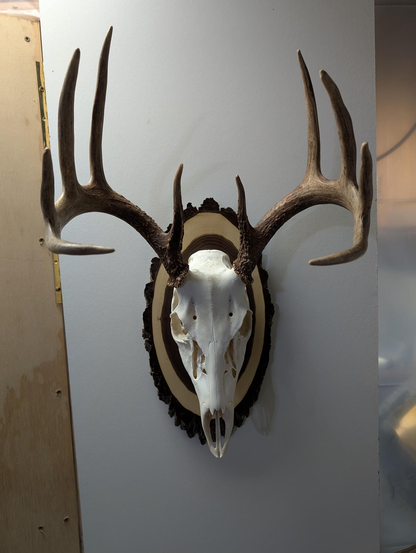 Black walnut European Mount Hanger