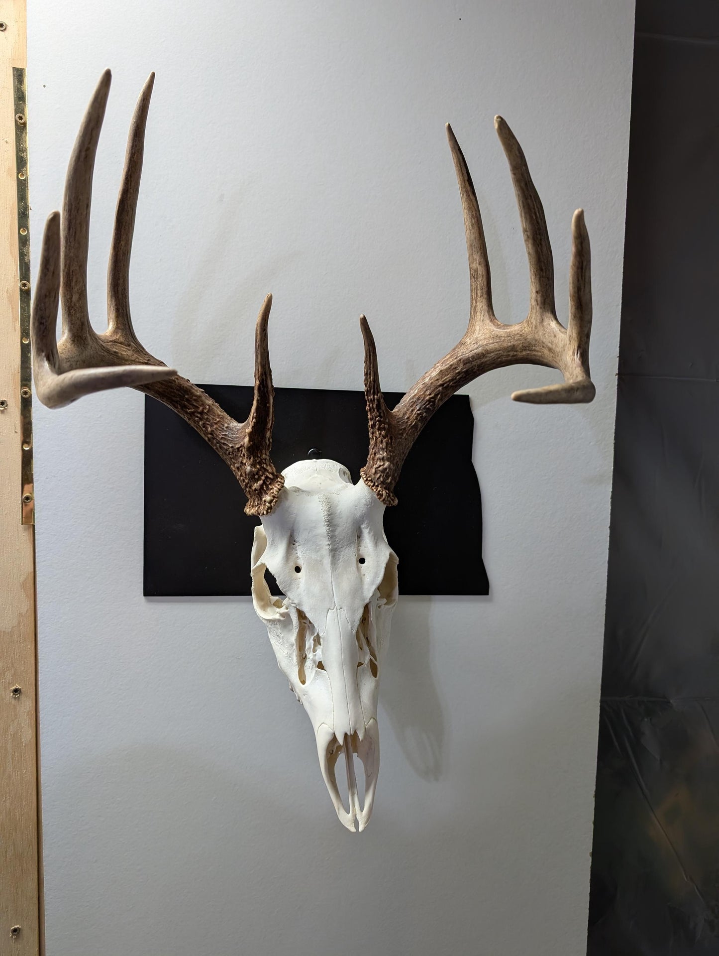 North Dakota