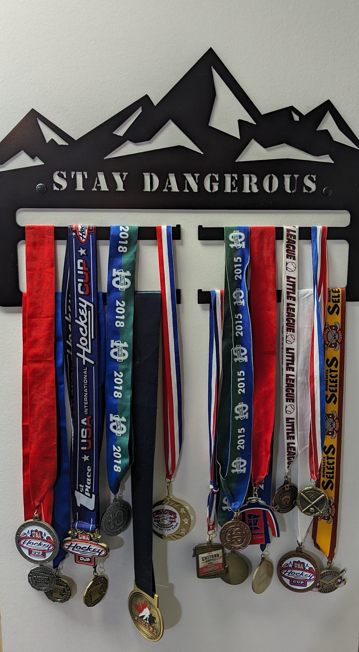 Medal Holder Stay Dangerous
