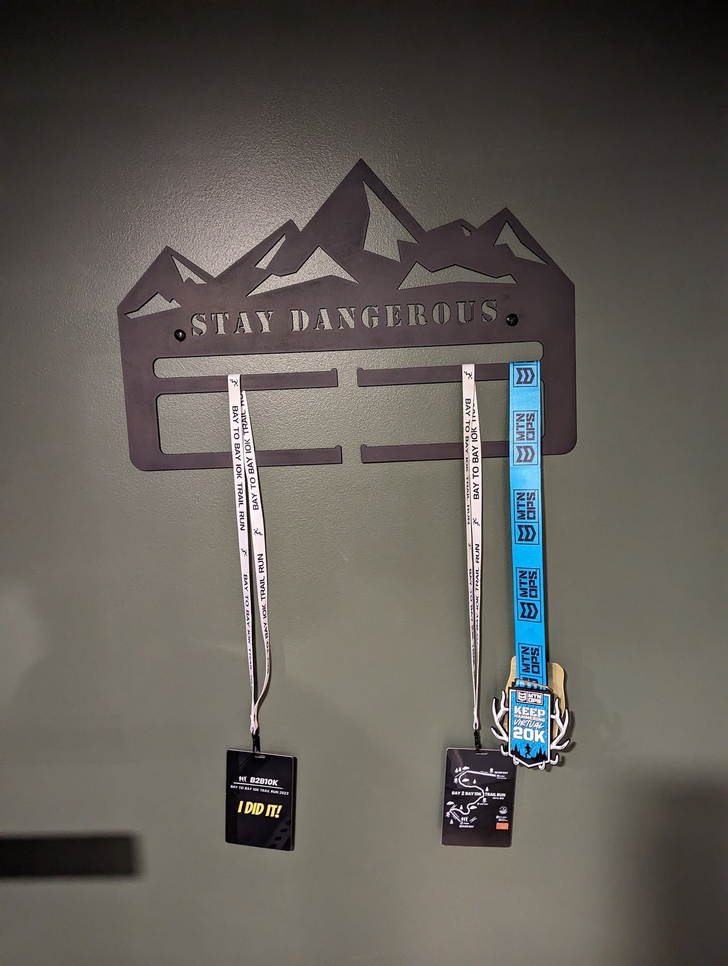 Medal Holder Stay Dangerous